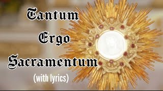 Tantum ergo Sacramentum lyrics Holy Hour HymnEucharistic Adoration Chant Catholic [upl. by Dronel288]