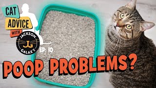 Litter Box Problems Cats Covering Their Poop [upl. by Ellehsad]