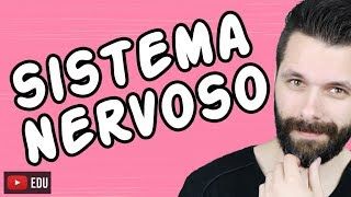 SISTEMA NERVOSO  FISIOLOGIA  Aula  Biologia com Samuel Cunha [upl. by Agnesse]