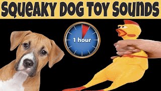 Squeaky Toy Dog Toy Sounds 1 Hour  DOG TOYS ONE HOUR [upl. by Avrenim]