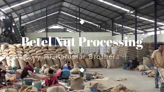 Betel Nut Processing [upl. by Bang]