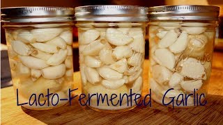 Fermenting Garlic [upl. by Eintruok]