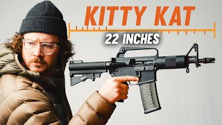 The Gun That Proves Size Really Does Matter DPMS Kitty Kat [upl. by Hughie]