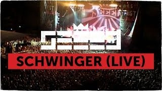 Seeed  Schwinger Live [upl. by Nosmoht]