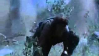 Platoon Clip  Elias Death Scene  YouTube [upl. by Syst]