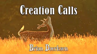 Creation Calls  Brian Doerksen  with Lyrics [upl. by Rondi]