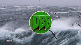 AronChupa  Im an Albatraoz Bass Boosted 1080p [upl. by Sasnak]