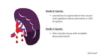 Splenic Injury [upl. by Chiquia645]