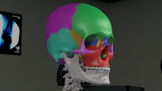 Chapter 1 Basic Sinus Anatomy [upl. by Feodora]