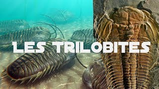 Les Trilobites [upl. by Lindo781]