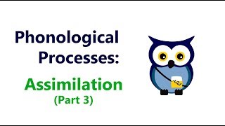 Phonological Processes Assimilation Part 3 [upl. by Nylirret564]