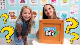 Whats In the Box Challenge  XOXO Friends [upl. by Ayhtin]