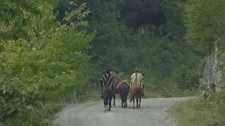 La Antigua Ruta al Puelmapu [upl. by Haggar]