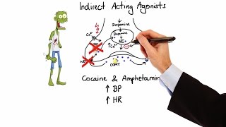 Pharmacology  ADRENERGIC RECEPTORS amp AGONISTS MADE EASY [upl. by Nabetse362]