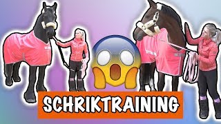 SCHRIK TRAINING MET EVE EN VITO  PaardenpraatTV [upl. by Catie661]