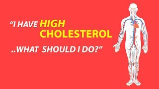 The Great Cholesterol amp Statin Con [upl. by Ellemrac824]