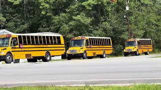 Various School Buses Colleton County [upl. by Bala]