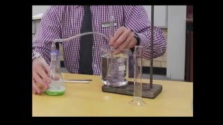 Catalase experiment [upl. by Gwenn252]