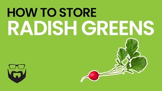 How to Store Radish Greens [upl. by Kelcie22]