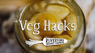 Fermented Garlic Honey I VEG HACKS [upl. by Adaven594]