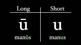 The Latin Alphabet  Vowel Pronunciation [upl. by Nelra32]