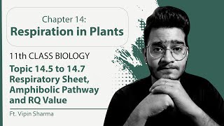 Topic 145 to 147 Respiratory Balance Sheet Amphibolic Pathway amp RQ Value  Respiration in Plants [upl. by Weissmann190]