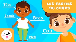 Les parties du corps humain pour les enfants  Vidéos éducatives pour les enfants [upl. by Rabassa]