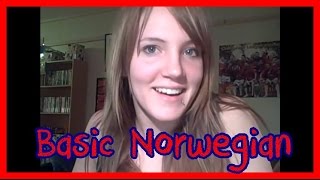 Norway  The Basic Language [upl. by Jarrow614]