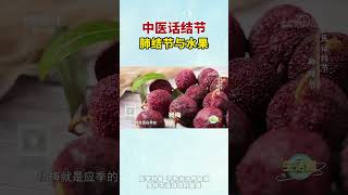 肺结节与水果 chinesedoctors chinesemedicine 中医 [upl. by Nylicaj]