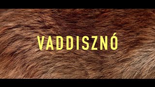 Soerii amp Poolek VADDISZNÓ Official Music Video [upl. by Dlanar]