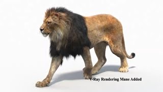 Animated Lion 3D Model Download  3Ds Max [upl. by Hudnut]