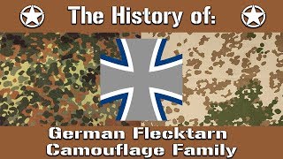 The History of The German Flecktarn Camouflage Family  Uniform History [upl. by Nesnar110]