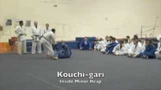 15 BASIC JUDO THROWS  LA VALLEY COLLEGE [upl. by Assenat901]