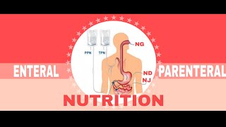 NUTRITIONAL SUPPORT  Nutritional Assessment amp Nutritional Requirements 12 [upl. by Sawyer248]