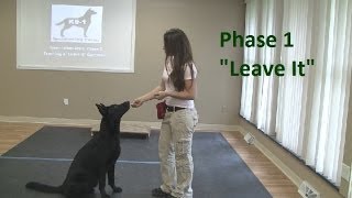 How to Train a Dog to quotLeave Itquot K91com [upl. by Cesar]