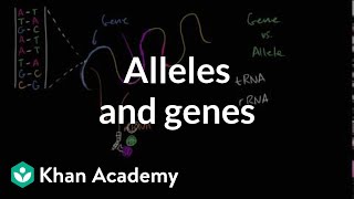 Genetic inheritance of disease [upl. by Ralyat]