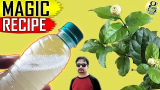 BEST ORGANIC PESTICIDE FORMULA  Home made Pest Control Recipe [upl. by Enala]