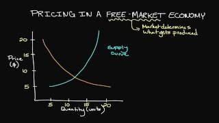 Pricing in a FreeMarket Economy [upl. by Assin678]