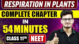 RESPIRATION IN PLANTS in 54 Minutes  Full Chapter Revision  Class 11 NEET [upl. by Eittah]