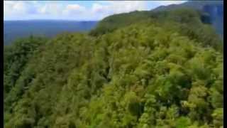 Expedition Borneo Episode 1 Documentary [upl. by Lledraw]