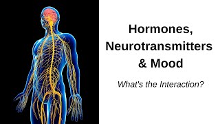 Hypothalamic Pituitary Gonadal Axis  Integrative Behavioral Health [upl. by Farnsworth]