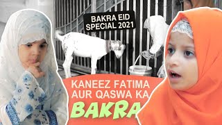 Kaneez Fatima aur Qaswa Ka Bakra  Kaneez Fatima Bakra Eid Special 2021  Eid ul Adha 2021 [upl. by Eduard]