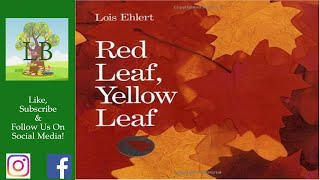 🍁 Red Leaf Yellow Leaf  Read Aloud [upl. by Karb]