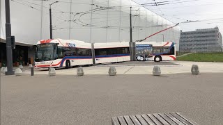 VBL Buses amp Trolleybuses in Lucerne Switzerland 2020 [upl. by Skiest]