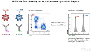 Lecture 7b Flow Cytometry [upl. by Aramenta]