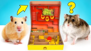 DIY Hamster Maze With Pringles Can And Spinner Obstacles [upl. by Staci365]