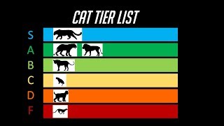 The Cat Tier List [upl. by Adlare814]