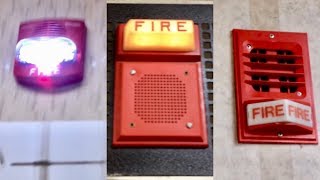 Fire Alarm Test 49 [upl. by Conney452]