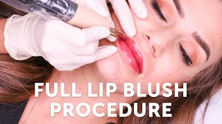 Full Lip Blush Procedure  Tina Davies Professional I 💋 INK [upl. by Rodablas]