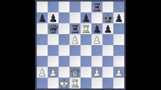 Schach WM 2014 Partie 1  Analyse [upl. by Tess320]